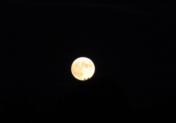 men on the moon