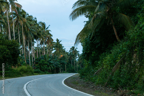 An abandoned road less travelled surrounded by tropical rainforest