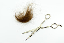 Cutting Of Brown Hair With A Pair Of Scissors Isolated On A White Background. No People. Copy Space.