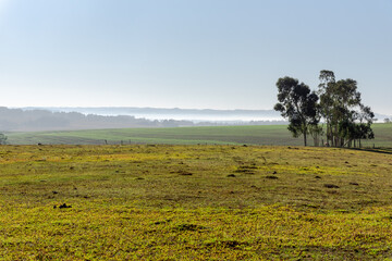 Rural landscape of the South American pampas on the border of Brazil and Uruguay