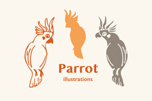 Illustrations Of A Cockatoo (Parrot) 