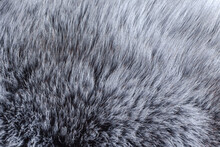 Gray Fur Close-up, Used As A Background Or Texture. Soft Focus