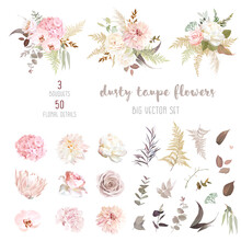 Dusty Pink And Ivory Beige Rose, Pale Hydrangea, Peony Flower, Fern, Dahlia