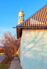 Wall Mural - slate roof and church dome