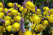 Yellow globe flowers with accents of purple flowers in an alpine garden