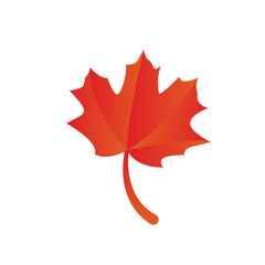 Wall Mural - maple leave graphich design