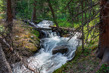 Sticker - waterfall in the forest