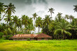Tropical Indian village with coconut palm trees at kerala, india