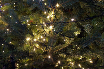 Wall Mural - tree with christmas lights