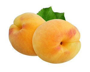 Wall Mural - apricots isolated on a white background with clipping path.