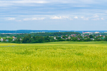 Beautiful countryside landscape with field and houses on the horizon in summer