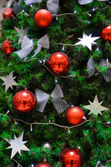 Wall Mural - christmas tree texture