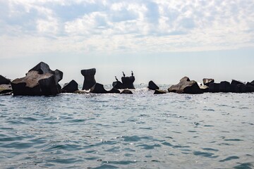 Poster - Beautiful shot of protective ridge of stones with sea birds stretches along the beach