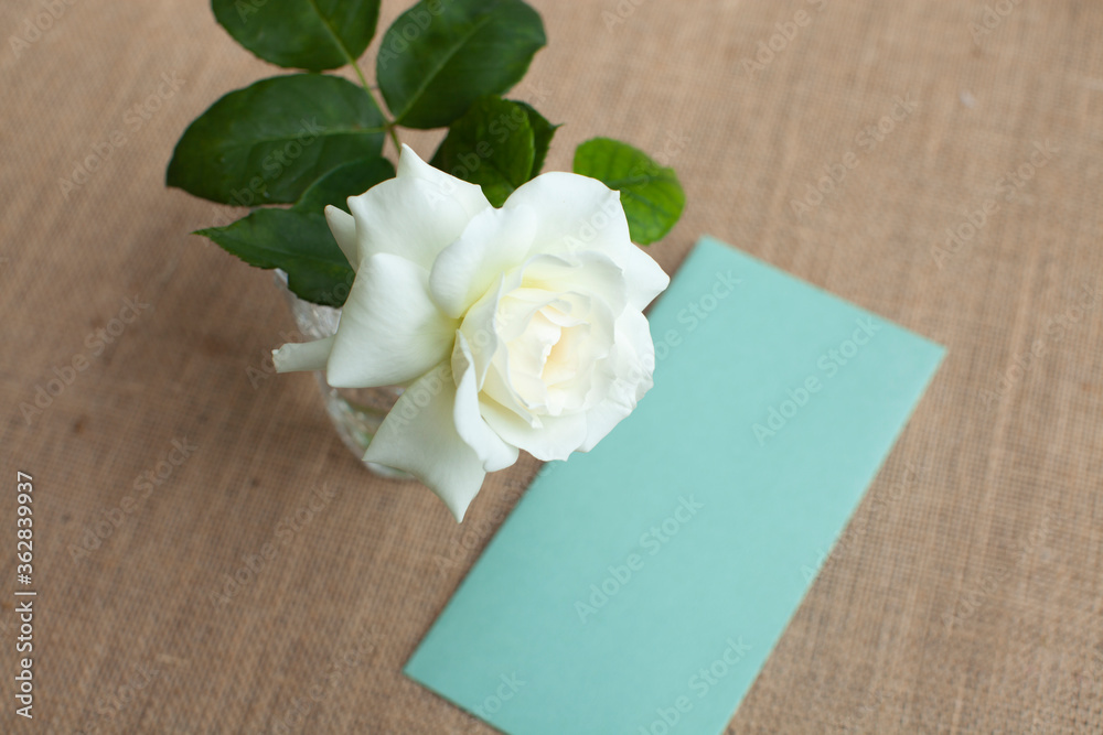 手紙に添えた白いばらの花 Wall Mural Wallpaper Murals Saraju