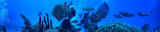 Fototapeta Do akwarium - coral reef underwater landscape, lagoon in the warm sea, view under water ecosystem