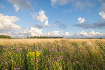 Nature and recreational area 