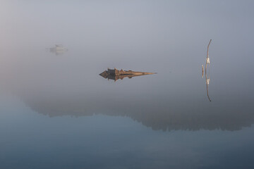 Wall Mural - sea tourism. foggy morning on the lake, bright sun, ship and boat in backlight near the shore.