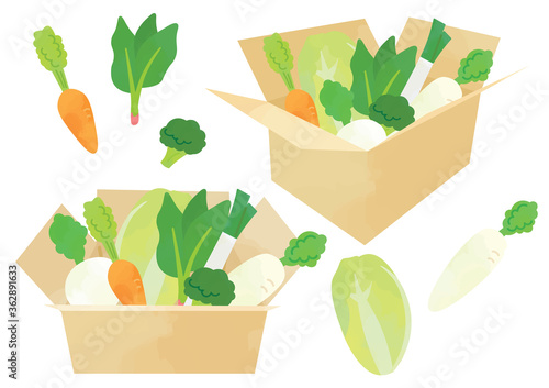 段ボールに入れて配達される冬野菜のイラストセット Vector De Stock Adobe Stock 段ボールに入れて配達される冬野菜のイラストセット Vector De Stock Adobe Stock