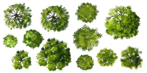 Wall Mural - set of trees top view for landscape and architecture elements