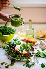 Wall Mural - Pulled pork and vegy hash arugula chmichurri. selective focus