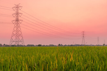 High voltage electric pole in beautiful sweet tone sunrise twilight for background.