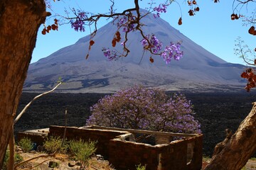 Wall Mural - Spring in Cha das Caldeiras