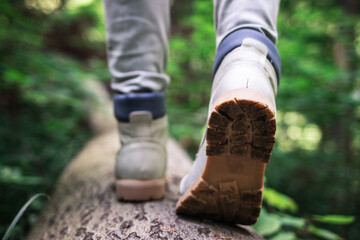 Wall Mural - hiking boot. hiker walking at fallen tree trunk in forest