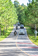 Cars And Motorcycles On Asphalt Road That Is Hilly And Curved With Pine Trees On Both Sides Of The Road At Baan E-Tong , Kanchanaburi , Thailand.