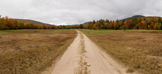 Wall Mural - A panorama of a country road during autumn.