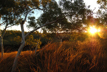 Majestic Sunrise Or Sunset In Australia Bushland Outback Travel Destination