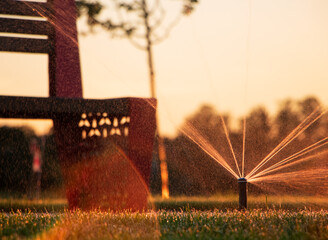 Wall Mural - The system of automatic watering the lawn in the park at sunset. Irrigation system.