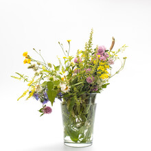 Wild Field Herbs In Bottles Of Different Shapes On A White-gray Background As A Decoration. Card