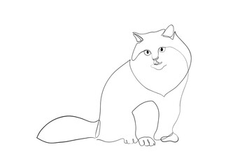 Wall Mural - One line drawing of the cat in modern minimalistic style, line i