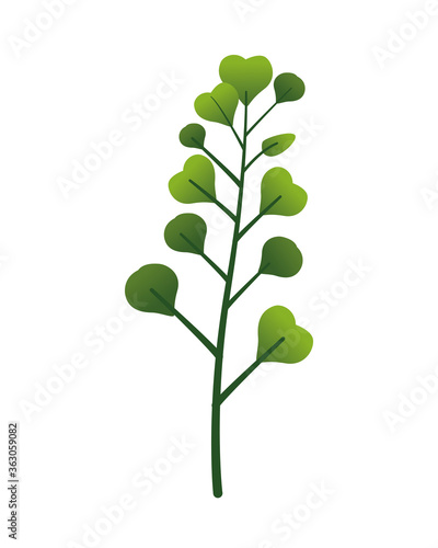 Fotomural branch with leafs plant nature icon