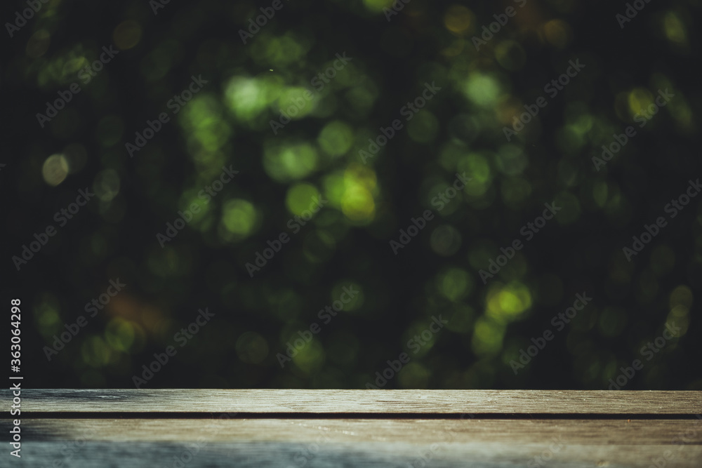 Close-up Of Plant Growing On Wood In Forest - obrazy, fototapety, plakaty 