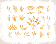 Set Of Wheat Ears Object And Design Elements For Beer, Organic Local Farm Fresh Food, Bakery Themed Design