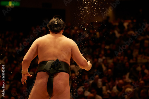 Obrazy Sumo  sumo