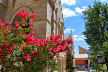 Wall Mural - University of Adelaide Building