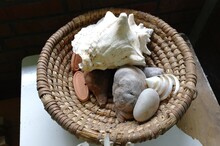 High Angle View Of Shells And Stones In Basket