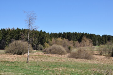 Poster - Ernstthal bei Lauscha