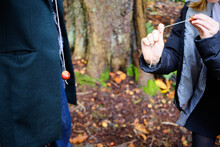Two People Play The Traditional Game Of Conkers In A Wood