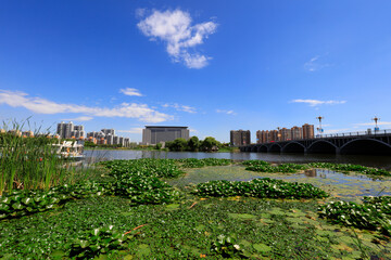 Wall Mural - Summer Landscape of Waterfront City, Tangshan City, China