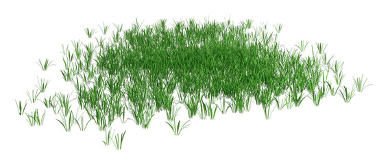 3D Rendering Patch of Grass on White