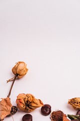 Sticker - Vertical closeup shot of dried flowers and leaves isolated on a white background