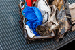 A duck breeding in an old suitcase full of garbage, search image, Case full of garbage and a duck