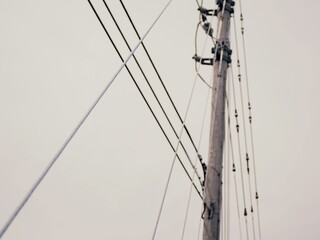 Wall Mural - Low angle shot of the wires of a power line with a light-colored background