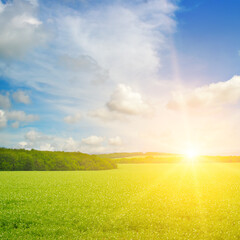 Green field and Bright sunrise over the horizon.