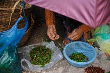 Chilli in the market