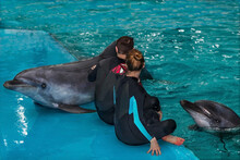 Trainers Dolphin Are Engaged In A Pool