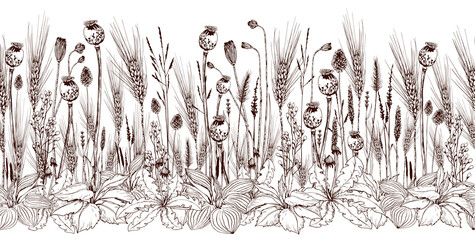 Wall Mural - Seamless horizontal banner with wheat spikelets, poppy seed boxes and wild flowers.